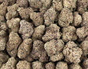 S17 Premium Blue Sushi Smalls