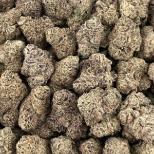 S17 Premium Blue Sushi Smalls