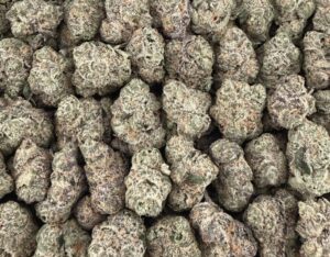 S38 Canal ST Runtz Smalls