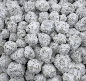 CX05 Snowball Blackcherry Pie Smalls