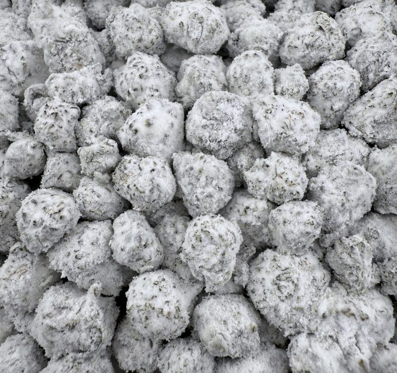 CX05 Snowball Blackcherry Pie Smalls