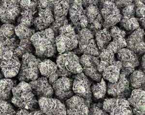 S30 Glitter Pop Smalls