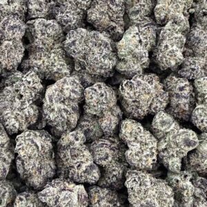 S23 NEW Cheetah Piss Smalls