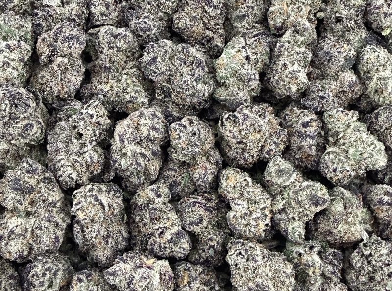 S23 NEW Cheetah Piss Smalls