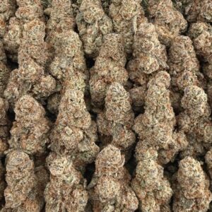 S22 Luminous Pop Smalls