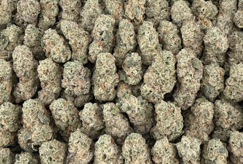 S35 Pink Cookies Smalls