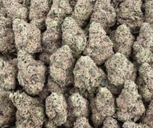 S13 Hash Burgers Smalls