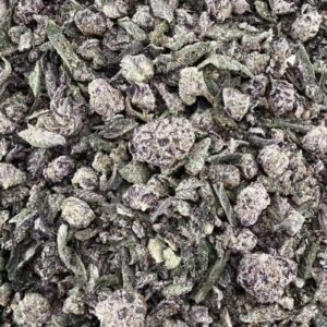 T06 Purple Cake Shake/w Micro