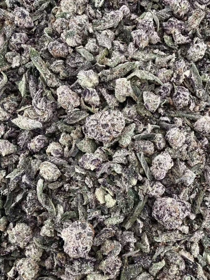 T06 Purple Cake Shake/w Micro