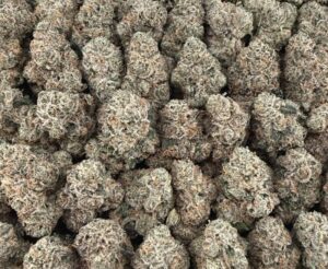 S39 Khalifa Kandy #2 Smalls