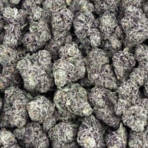 S32 NEW Gelato 41 Smalls