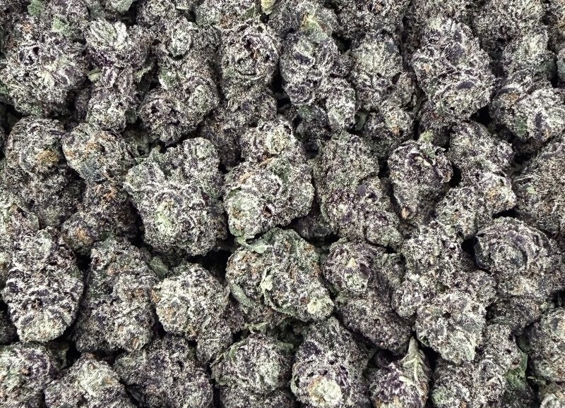 S32 NEW Gelato 41 Smalls