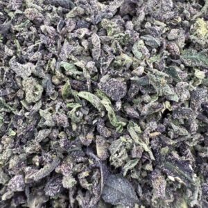 T05 Blackberry Shake/w Micro