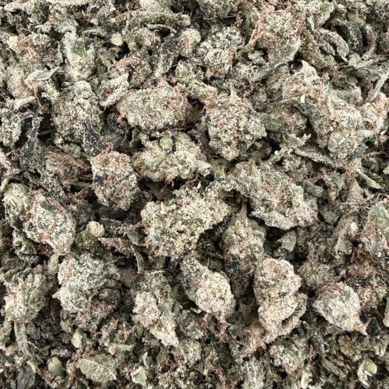 T02 Ice Cream Cake Shake/w Micro