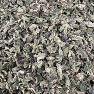 T01 LA Pop x PPP Shake/w Micro