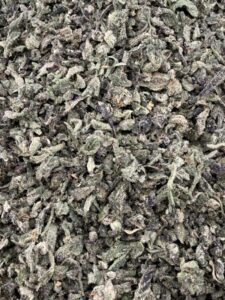 T03 Jack Herre Shake/w Micro