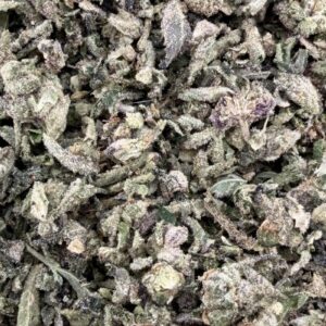 T04 BLOW YOUR MIND SHAKE/W MICROS