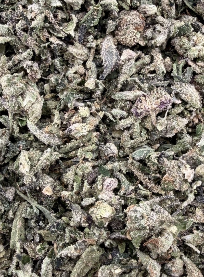 T04 BLOW YOUR MIND SHAKE/W MICROS